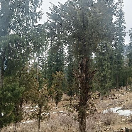 Trimounts-A Boutique Hotel & Wellnes Center In Tirthan Valley Banjār Exterior foto